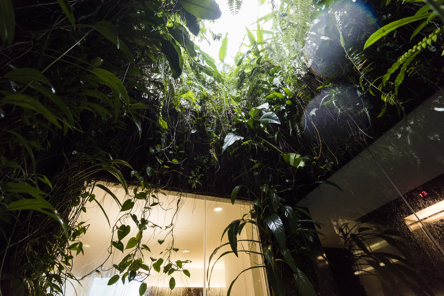 Plants overhang in WOHA's office
